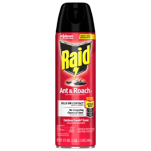 Save $1.00 on Raid