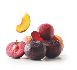 $1.49 lb Peaches or Plums