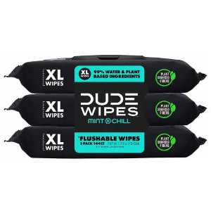 Save $1.00 on Dude Wipes