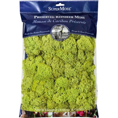 10% off SuperMoss items