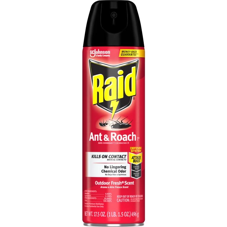 SAVE $1.00 On Any ONE (1) Raid® Product (Excluding Raid® Essentials Light Trap Starter Kits)